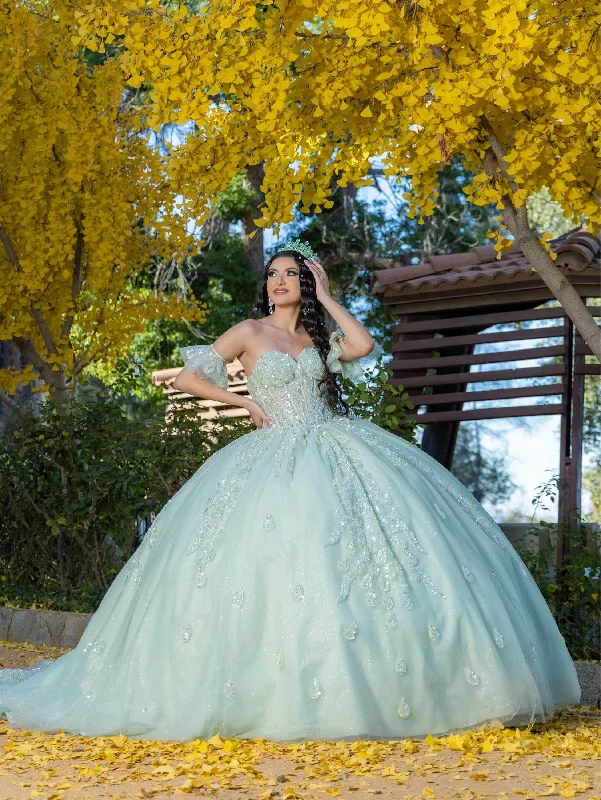 Lizluo Quince 26096 - Lace Applique Corset Bodice Ballgown